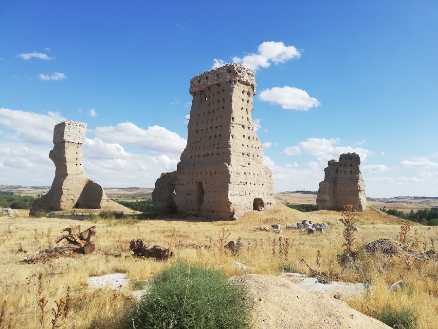 Agropal Palenzuela