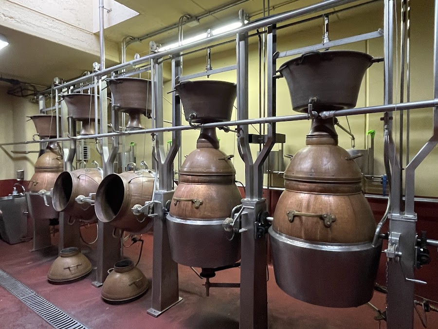 BODEGA PICOS DE CABARIEZO