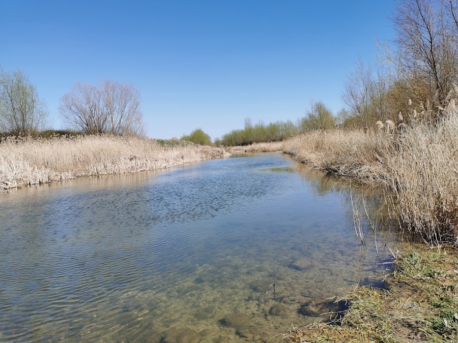 Centro Cultural Virgen de la Olma