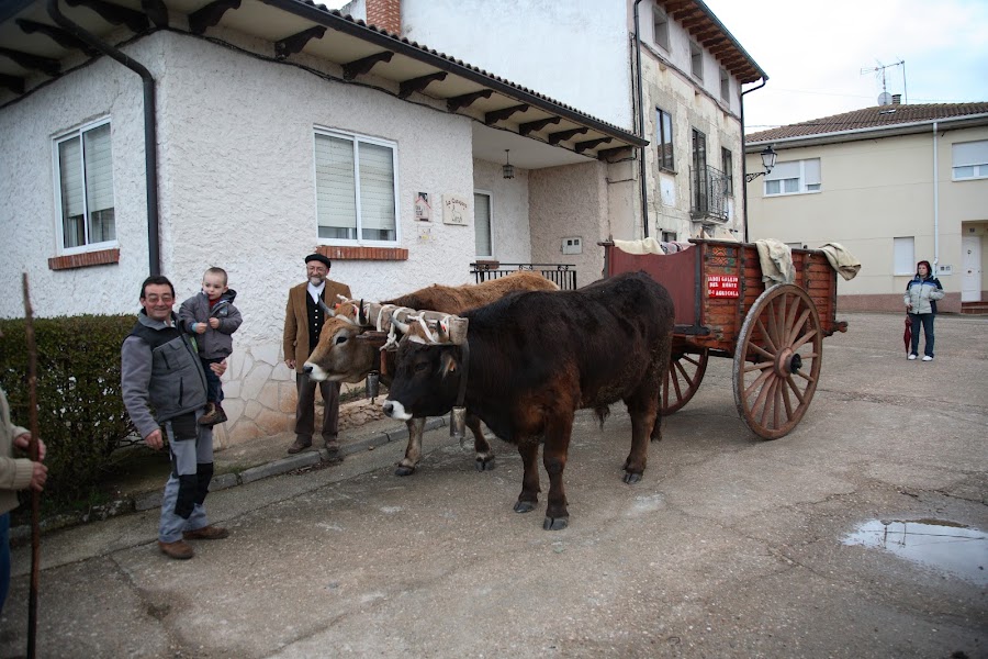 La Conejera, Casa Rural en Madrigalejo del Monte (Burgos)