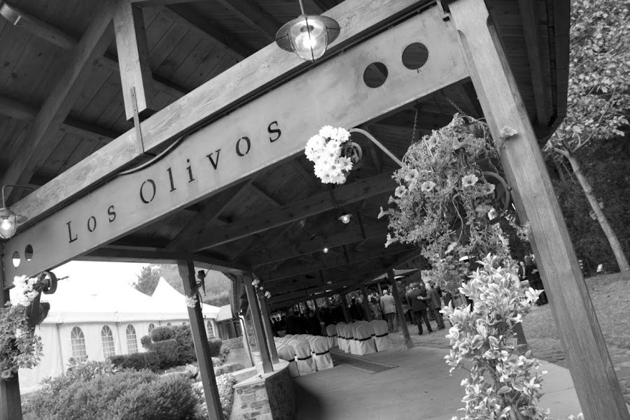 Los Olivos Restaurante & Catering