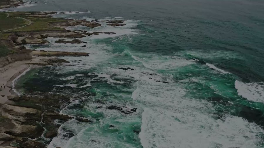 Pescaderia Maria Jesus