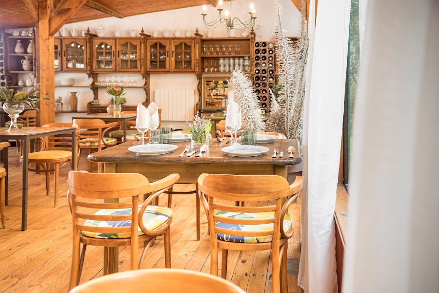 Tajinaste del Refugio